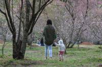 O que é o equinócio de primavera e como a estação afeta a sua saúde