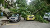 Ventos derrubam árvores, fecham ponte Rio-Niterói e param trens no RJ