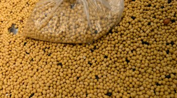 Maior compradora mundial de soja importou 6,88 milhões de toneladas em setembro, ante 9,79 milhões de toneladas no ano passado