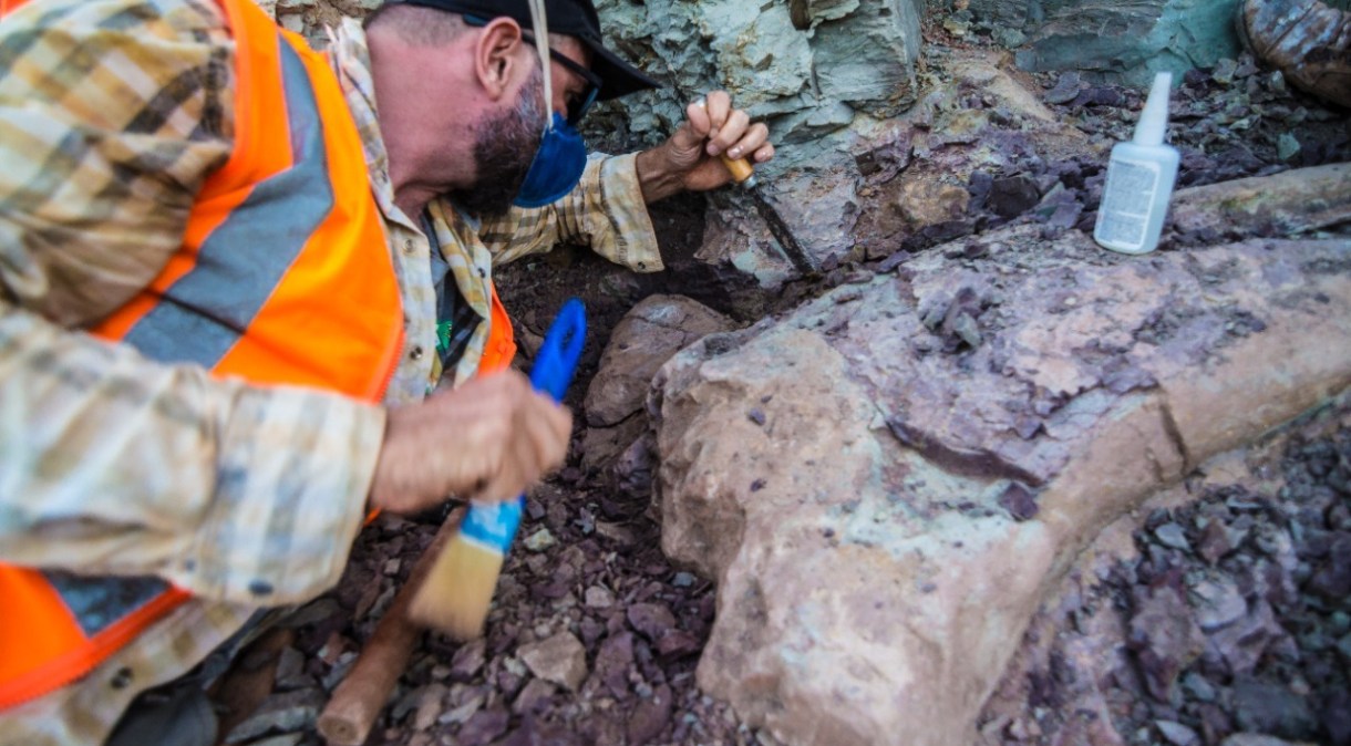 Fósseis de dinossauros foram encontrados em obra de terminal ferroviário em Davinópolis (MA)
