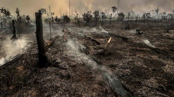 À CNN, professora da UNB explica que união de desmatamento, degradação e mudanças climáticas influenciam na propagação do fogo na floresta