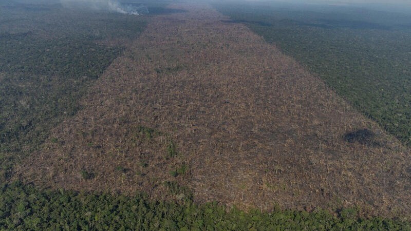 Desmatamento Amazônia