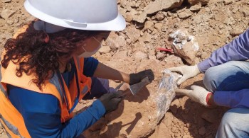 Esse foi o segundo maior achado arqueológico da estrada; pesquisadores acreditam que a região foi habitada por dinossauros há 65 milhões de anos