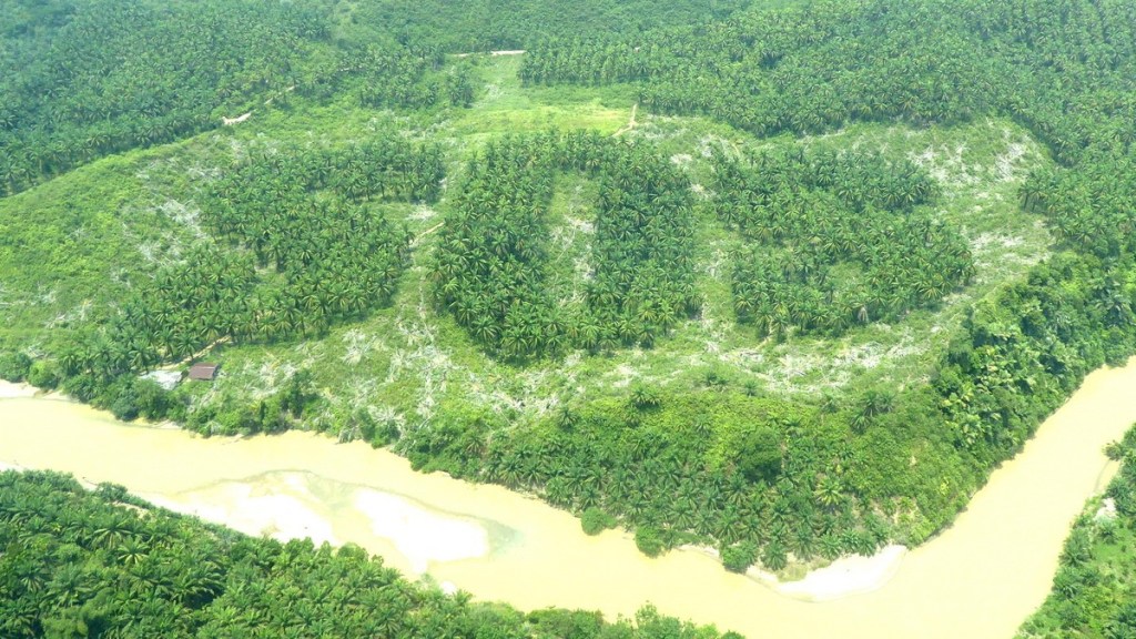 Floresta Sumatra