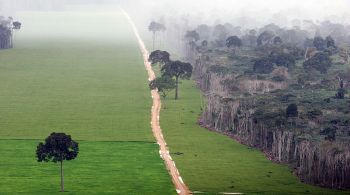 Medida acontece depois da participação do Brasil na Conferência das Nações Unidas para Mudanças Climáticas, a COP26