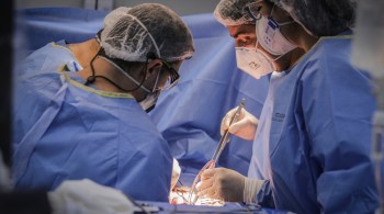 Segundo o Ministério da Saúde, transplante de rim representa 70% dos procedimentos realizados no país