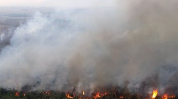 Segundo o Laboratório de Aplicações de Satélites Ambientais, que analisou dados da área afetada até 21 de novembro, 1.283.950 hectares foram queimados em 2021
