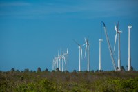 Brasil tem condição de liderar o setor das energias renováveis, diz especialista