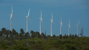 Região Nordeste responde pela maioria dos projetos de geração de energia com fonte limpa