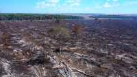 Amazonas registra terceiro pior ano de queimadas na história, diz Inpe