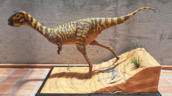 Berthasaura leopoldinae foi encontrada por pesquisadores do Museu Nacional e da Universidade do Contestado