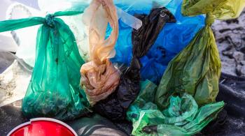 Leis que proíbem uso de sacolas plásticas buscam reduzir impacto ambiental