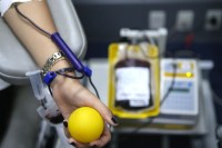 Conheça os critérios para doar sangue