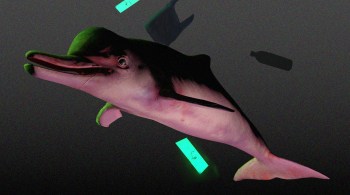 'Zoológico de Animais Extintos', criado pelo designer Sebastian Koseda, permite observar e interagir com representações 3D de animais que não existem mais na natureza