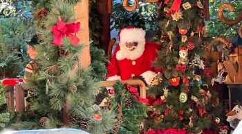 Empresa afirmou que o Papai Noel refletirá a diversidade, pois a figura natalina é representada de várias maneiras nas comunidades ao redor do mundo