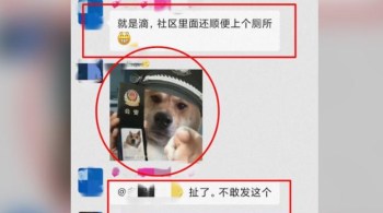 Imagem de cachorro com um chapéu de policial foi compartilhada em um grupo de bate-papo. Muitos protestaram contra a punição