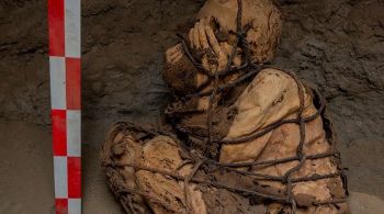Idade da múmia indica que ela é mais velha do que civilização inca, dizem pesquisadores, e restos de animais próximos dão indícios da posição social do indivíduo