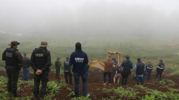 Segundo o Ministério Público, 800 kg de carne de cavalo e carne estragada eram destinados por semana a hamburguerias da cidade da Serra Gaúcha 