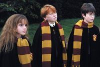 Exemplar da 1ª edição de “Harry Potter” é vendido por US$417 mil em leilão