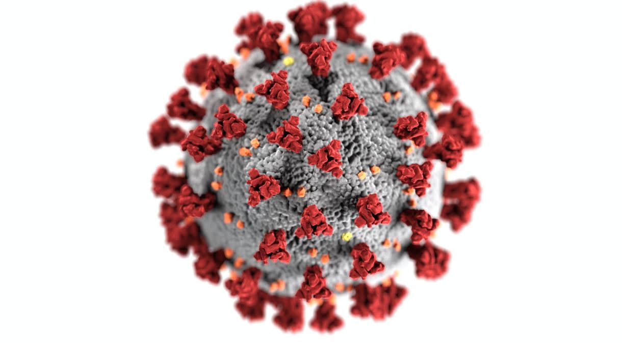 Segundo estudos, variante Ômicron do coronavírus possui alta taxa de transmissão