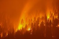 Estudo da ONU sobre incêndios florestais: é hora de “aprender a viver com fogo”