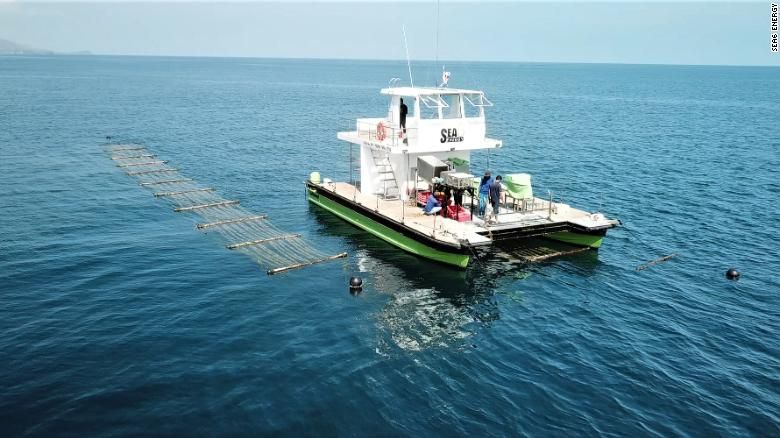 O protótipo Sea Combine da Sea6 Energy opera em uma fazenda de algas marinhas na costa da Indonésia