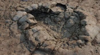 Pegadas datam do período Triássico e podem ser de um saurópode, afirmam pesquisadores do Museu de História Natural de Londres