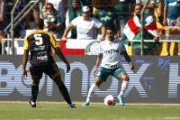 Na estreia do Paulistão, Palmeiras vence Novorizontino fora de casa por 2 a 0