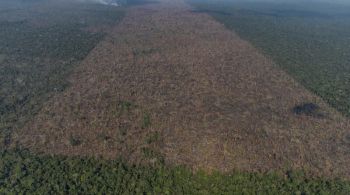 De acordo com o Instituto Nacional de Pesquisas Espaciais (Inpe), foram 844 km² desmatados na Floresta Amazônica entre janeiro e março