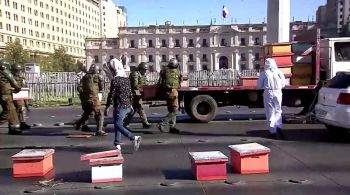 Apicultores instalaram 60 colmeias com cerca de 10 mil abelhas na avenida central onde fica o palácio de La Moneda