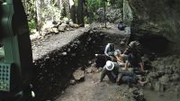 Dente desenterrado em caverna na França pode apontar indícios de primeiros humanos