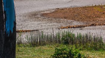 Altas temperaturas e restrição hídrica geram dúvidas sobre semeadura da soja e impactam indiretamente milho de segunda safra; IBGE prevê queda em 2024