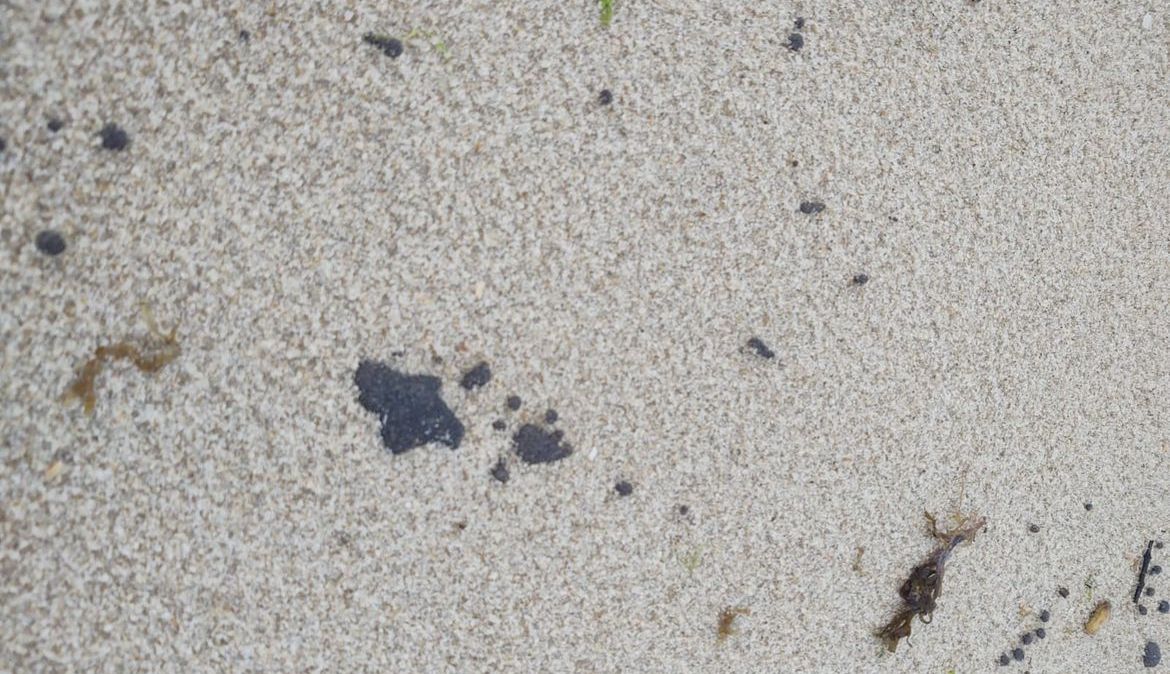 Manchas de óleo encontradas no litoral cearense