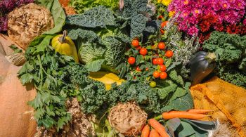 Pesquisa considera cinco hortaliças com maior representatividade de comercialização nas principais Ceasas