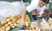 Trigo compõe menos de 15% do preço final do pão francês, diz estudo