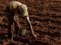 Startups do agronegócio apresentam tecnologias para o campo