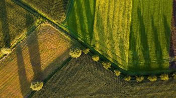 Recurso será usado para subvenção econômica nas operações de custeio agropecuário e de investimento rural e agroindustrial