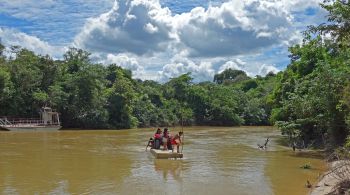 Estudo inédito mostra importância das populações indígenas na proteção das florestas brasileiras