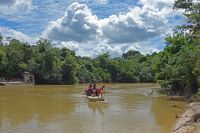 Estudo revela que 1,6% do desmatamento na Amazônia ocorreu em territórios indígenas