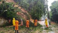 Sobe para 19 o número de mortes pelas chuvas no Rio de Janeiro