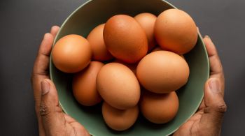 Disseminação da gripe aviária já elevou custos dos ovos em todo o mundo nos últimos meses
