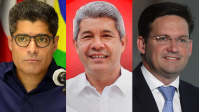 Pesquisa Quaest para o governo da Bahia: ACM Neto tem 67%; Jerônimo, 6%; e Roma, 5%