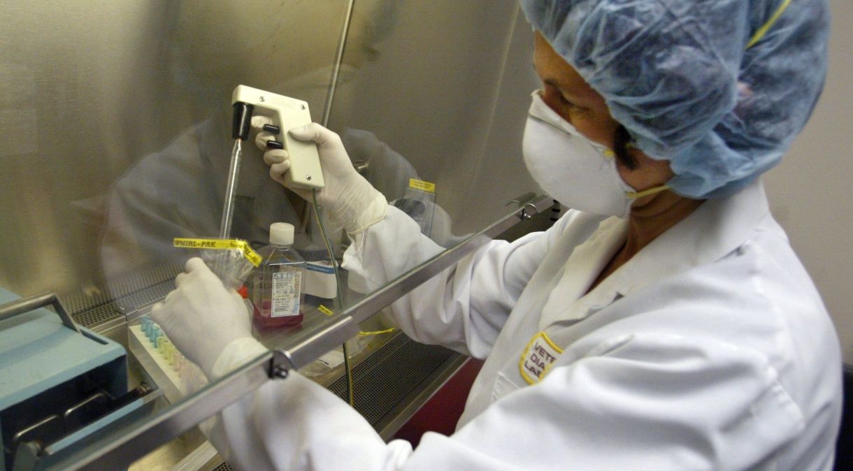 OMS identificou casos da varíola dos macacos em mais de 20 países não endêmicos