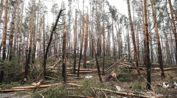 Além da destruição causada por tanques e incêndios de explosões, substâncias venenosas e combustíveis que vazaram de mísseis e veículos poluíram solo, água e prejudicaram animais