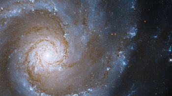 Chamada NGC 3631, a galáxia está localizada a cerca de 53 milhões de anos-luz da Terra
