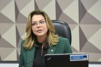 Governo tenta avançar no Senado com PL que regula o mercado de carbono