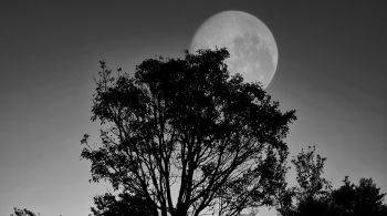 Fenômeno ocorre quando a Lua Cheia ou a Lua Nova coincidem com período em que o astro está mais próximo da Terra, explica astrônomo