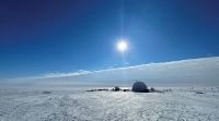 Cientistas descobrem ecossistema abaixo de camada de gelo na Antártica