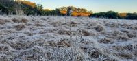 São Paulo começa semana fria e seca; estados do Sul têm geada