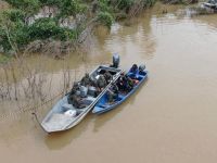 Rubens Barbosa: Estamos vendo a falência do Estado brasileiro na Amazônia